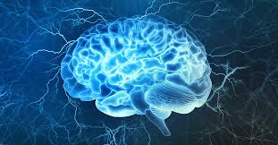 World Congress on Neuroscience, Neurology & Brain Disorders