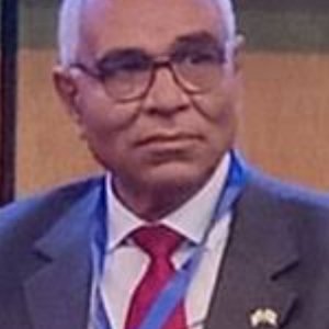 Abdelmonem Awad Hegazy